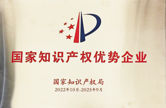 National Intellectual Property Advantage Enterprise