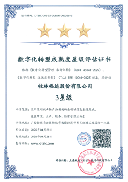 Digital Transformation Maturity Star Rating Certificate